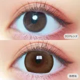 PRIMORE 프리모아 원데이 프리걸카멜(1박스 10개들이) 썸네일 2