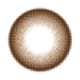 PRIMORE 프리모아 원데이 프리펄브라운(1박스 10개들이) 썸네일 3