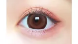PRIMORE 프리모아 원데이 프리데이트브라운(1박스 10개들이) 썸네일 2