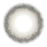 prismel 프리즈멜 원데이 코튼그레쥬(1박스 10개들이) 썸네일 3