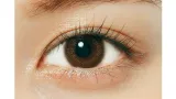 Ramurie 원데이 셰리브라운(1박스 6개들이) 썸네일 2