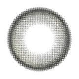 RADIRIS 라디리스 1month 루센트그레이(1박스 2개들이) 썸네일 3