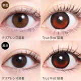 Teamo 티아모 원데이 에델시리즈 14.5mm 트루레드(1박스 10개들이) 썸네일 2