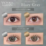 VICTORIA GARDEN 빅토리아가든 원데이 블레이지그레이(1박스 10개들이) 썸네일 2