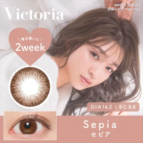 VICTORIA 2WEEK BY CANDYMAGIC 세피아(1박스 6개들이) (CANDYMAGIC) 일본 컬러렌즈