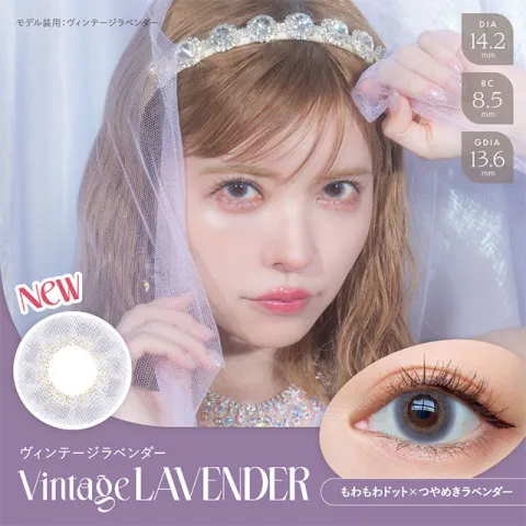 AngelColor BambiSeries1day 엔젤컬러 밤비시리즈 빈티지 원데이 라벤더 (1박스 10개들이) 일본 컬러렌즈