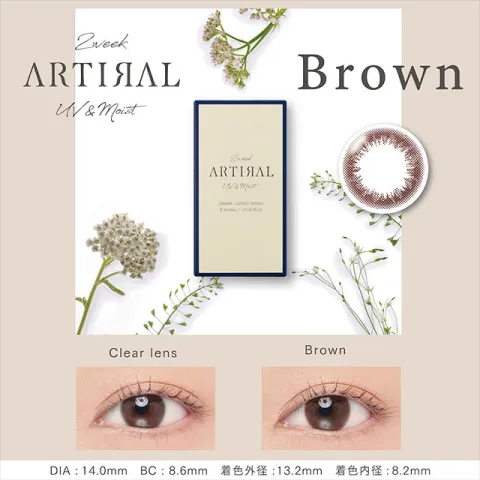 ARTIRAL 아티랄 2week UV&moist 브라운(1박스 6개들이) - ARTIRAL 일본 컬러렌즈
