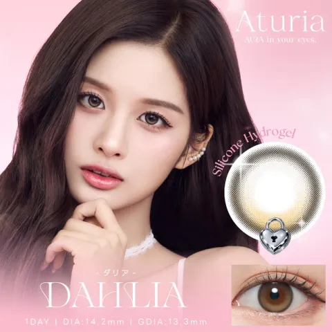 Aturia 어튜리아 1day 달리아(1박스 10개들이) - ATURIA 일본 컬러렌즈