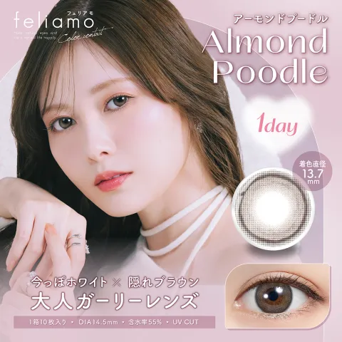 Feliamo 페리아모 1day 아몬드푸들(1박스 10개들이) - FELIAMO 일본 컬러렌즈
