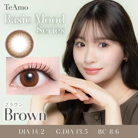 Teamo 티아모 원데이 베이식무드시리즈 브라운(1박스 10개들이) 일본 컬러렌즈