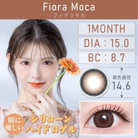 Teamo 티아모 원먼스 실리콘하이드로겔 피오라모카(1박스 1개들이) 일본 컬러렌즈