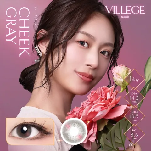 VILLEGE 비례제 1Day 치크그레이(1박스 10개들이) (VILLEGE) 다색 컬러렌즈