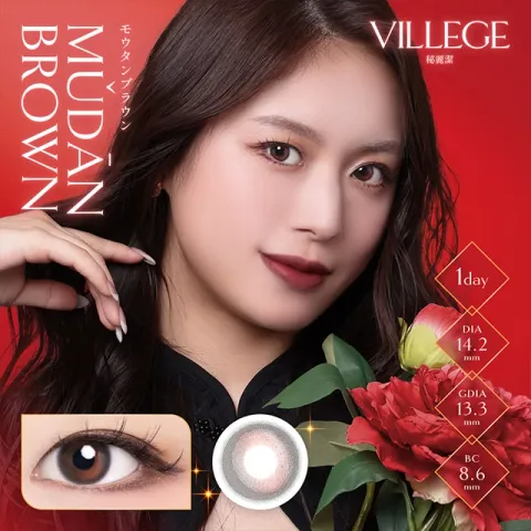 VILLEGE 비례제 1Day 모우단브라운(1박스 10개들이) (VILLEGE) 다색 컬러렌즈