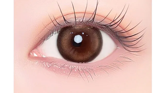 1day Refrear 실리콘하이드로겔 a-eye 에이아이 블링크브라운(1박스 10개들이) (Refrear) 제품 2번째 사진