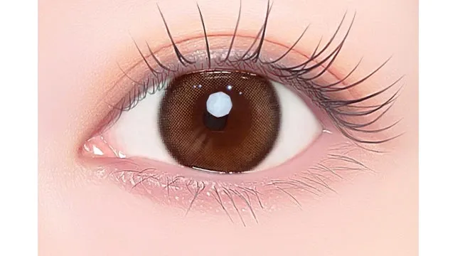 1day Refrear 실리콘하이드로겔 a-eye 에이아이 걸리쉬베이지(1박스 10개들이) (Refrear) 제품 2번째 사진