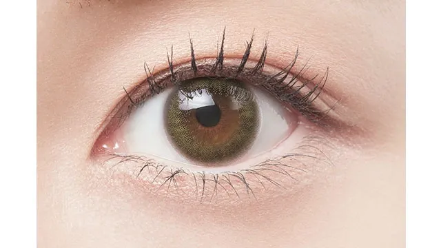 Belleme by Eye coffret 1day 올리브브라운(1박스 10개들이) (EYE COFFRET) 제품 2번째 사진