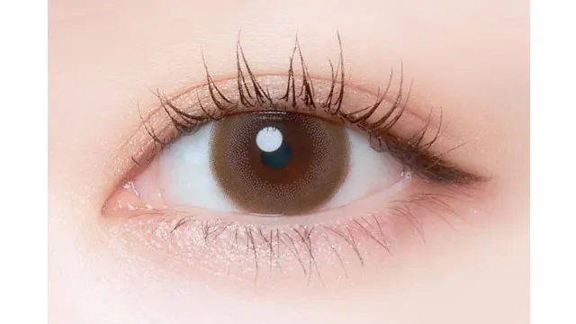 Cheritta 원데이 치크베이지(1박스 10개들이) (Cheritta) 제품 2번째 사진