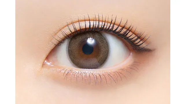 Clainel 크레이넬 1day 세피아무드(1박스 10개들이) (Clainel) 제품 2번째 사진