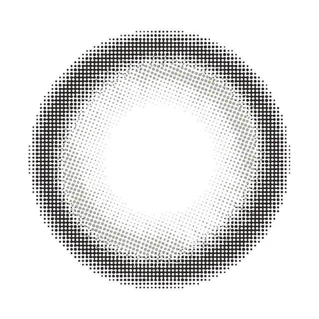 eyestar 아이스타 1day 데이글로우그레이(1박스 10개들이) (eyestar) 제품 3번째 사진