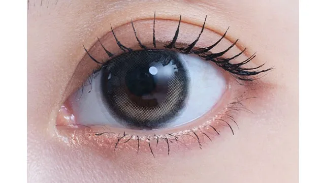eyestar 아이스타 1day 아이코닉브라운(1박스 10개들이) (eyestar) 제품 2번째 사진