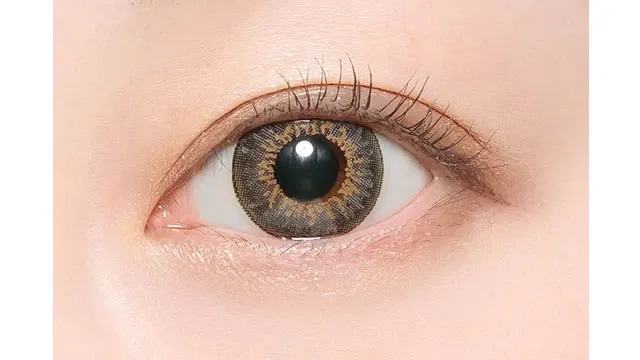 CANDYMAGIC 캔디매직 먼슬리 NEW 가쉽그레이(1박스 1개들이) (CANDYMAGIC) 제품 3번째 사진