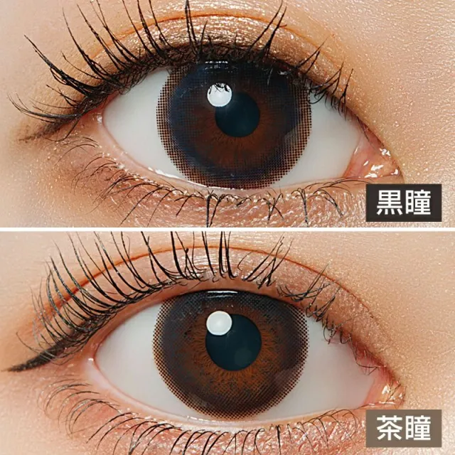 LARME 1day Moisture UV 라르므 모이스처 UV 클래식네이비(1박스 10개들이) (LARME) 제품 2번째 사진
