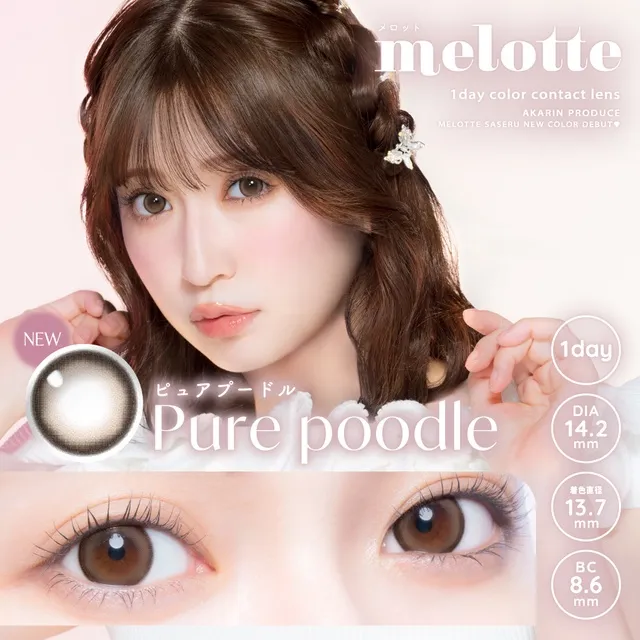 melotte 원데이 퓨어푸들(1박스 10개들이) (MELOTTE) 제품 1번째 사진