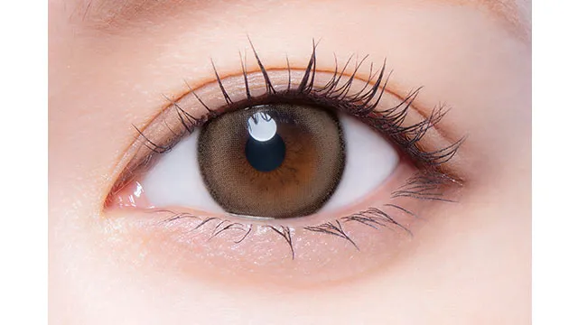 melotte 원데이 퓨어푸들(1박스 10개들이) (MELOTTE) 제품 2번째 사진