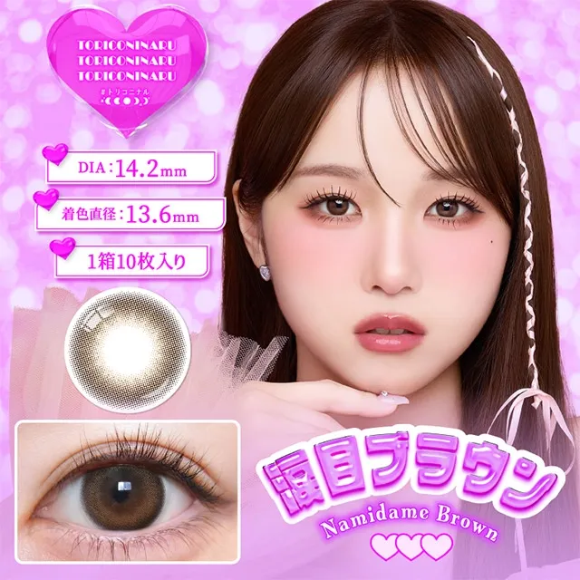 Toriconinaru 원데이 나미다메브라운(1박스 10개들이) (TORICONINARU) 제품 1번째 사진