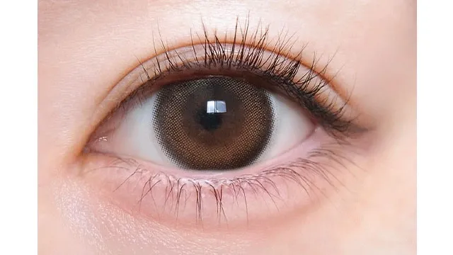 Toriconinaru 원데이 나미다메브라운(1박스 10개들이) (TORICONINARU) 제품 2번째 사진