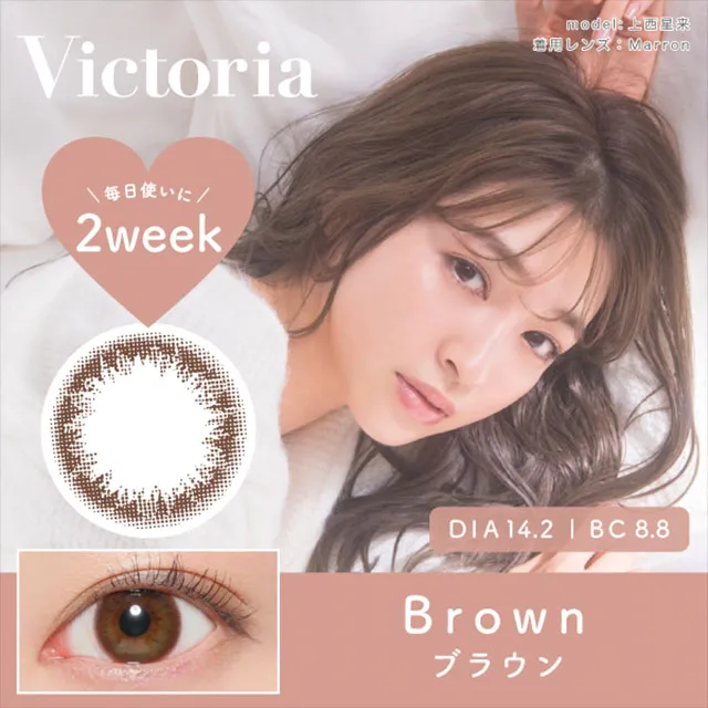 VICTORIA 2WEEK BY CANDYMAGIC 브라운(1박스 6개들이) (CANDYMAGIC) 제품 1번째 사진