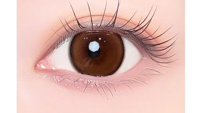 1day Refrear 실리콘하이드로겔 a-eye 에이아이 리파인드브라운(1박스 10개들이) (Refrear) 제품 2번째 사진