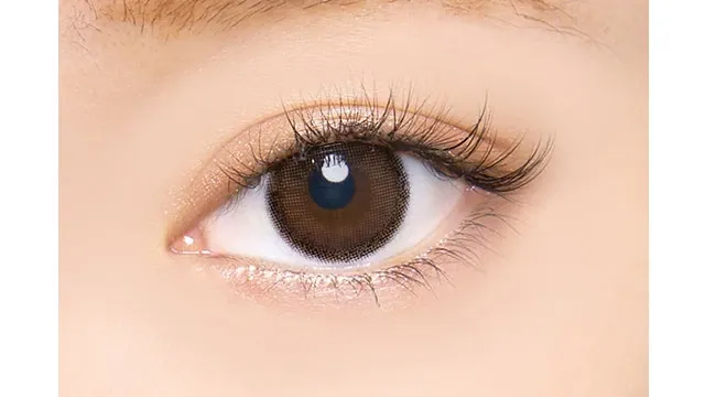 AngelColor BambiSeries1day 엔젤컬러 밤비시리즈 원데이 내추럴 퓨어브라운(1박스 10개들이) (ANGELCOLOR) 제품 2번째 사진