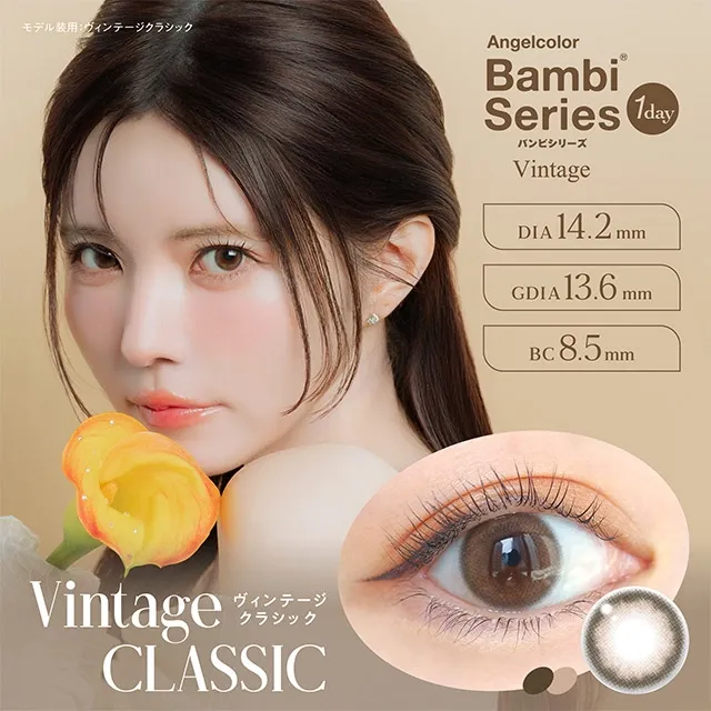 AngelColor BambiSeries1day 엔젤컬러 밤비시리즈 빈티지 원데이 빈티지클래식(1박스 10개들이) (ANGELCOLOR) 제품 1번째 사진
