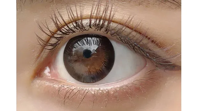 ANGELEYES 엔젤아이즈 UV모이스트 1day 악센트블랙(1박스 10개들이) (ANGEL EYES) 제품 2번째 사진
