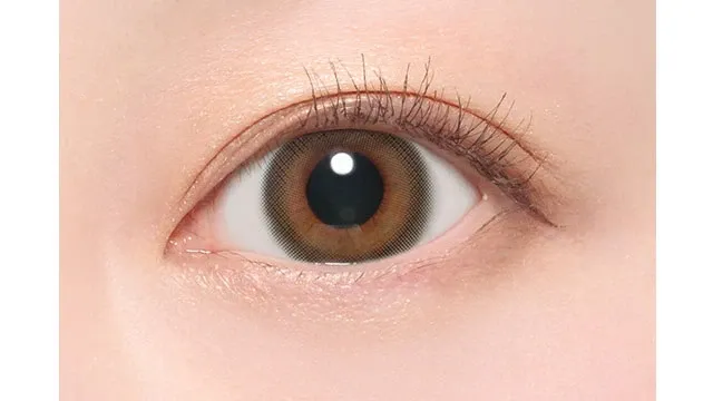 CANDYMAGIC 캔디매직 먼슬리 NEW 룰루브라운(1박스 1개들이) (CANDYMAGIC) 제품 2번째 사진