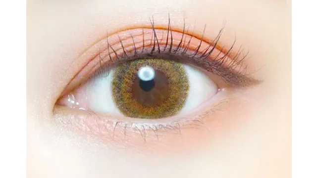 EVERCOLOR 에버컬러 1day LUQUAGE 아쿠아베이지(1박스 10개들이) (EVERCOLOR) 제품 2번째 사진