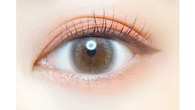 EVERCOLOR 에버컬러 1day LUQUAGE 미스티애쉬(1박스 10개들이) (EVERCOLOR) 제품 2번째 사진