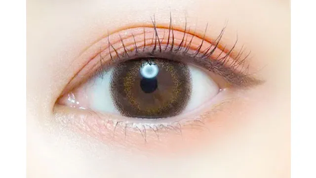 EVERCOLOR 에버컬러 1day Natural Moist Label UV 브라운마리아쥬(1박스 20개들이) (EVERCOLOR) 제품 2번째 사진