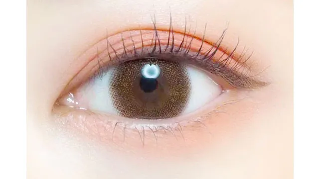 EVERCOLOR 에버컬러 1day Natural Moist Label UV 쉬폰브라운(1박스 20개들이) (EVERCOLOR) 제품 2번째 사진