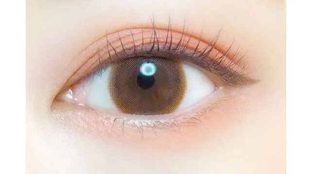 EVERCOLOR 에버컬러 1day Natural Moist Label UV 실루엣듀오(1박스 20개들이) (EVERCOLOR) 제품 2번째 사진