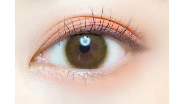 EVERCOLOR 에버컬러 1day Natural Moist Label UV 필굿(1박스 20개들이) (EVERCOLOR) 제품 2번째 사진