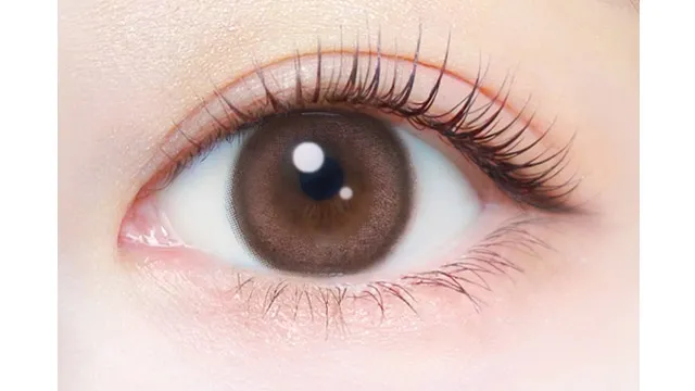 EVERCOLOR 에버컬러 1day Natural 스무스코랄(1박스 20개들이) (EVERCOLOR) 제품 2번째 사진