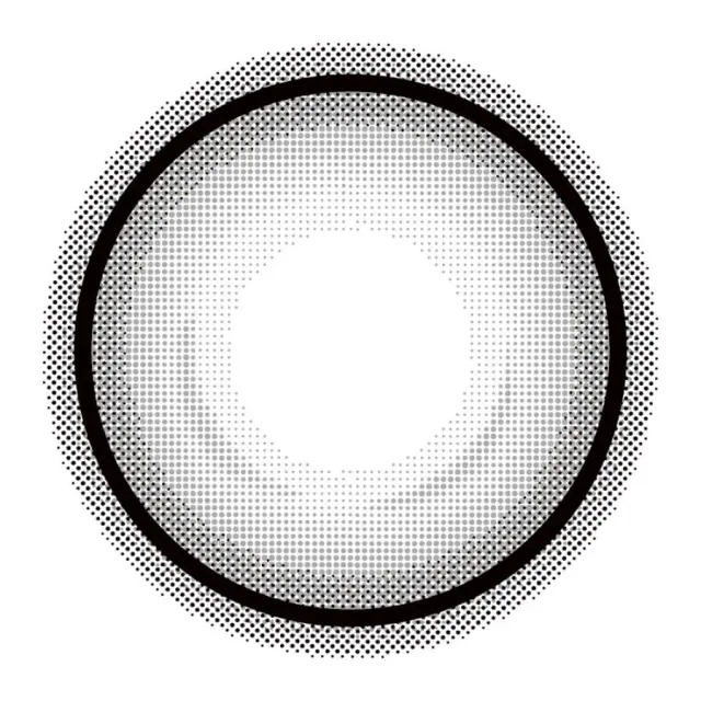 Eye Closet 아이클로젯 원데이 14.5mm 홀로그레이(1박스 10개들이) (Eye closet) 제품 3번째 사진