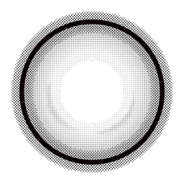 Eye Closet 아이클로젯 먼슬리 14,5mm 홀로그레이(1박스 2개들이) (Eye closet) 제품 3번째 사진