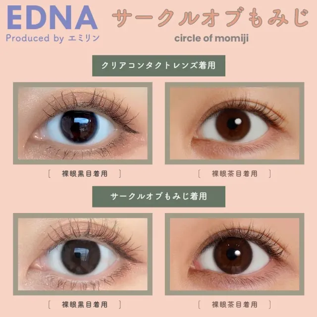 EDNA 에드나 1day 써클오브모미지(1박스 10개들이) (EDNA) 제품 2번째 사진