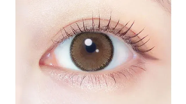 EVERCOLOR 에버컬러 1month 애프리콧브라운(1박스 2개들이) (EVERCOLOR) 제품 2번째 사진