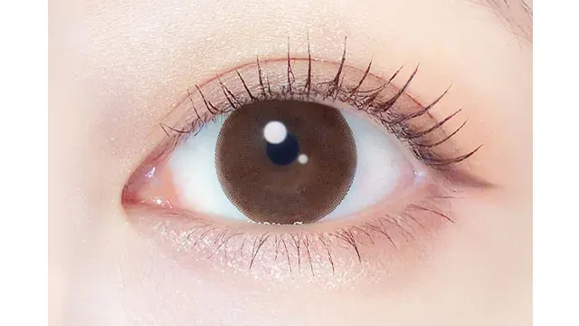 EVERCOLOR 에버컬러 1month 내추럴브라운(1박스 2개들이) (EVERCOLOR) 제품 2번째 사진