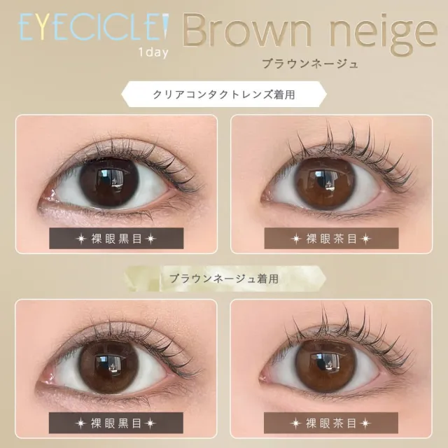 EYECICLE 아이시클 1Day 브라운 네쥬(1박스 10개들이) (EYECICLE) 제품 2번째 사진