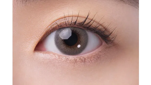 FAIRY 페어리 1DAY NEUTRAL 앙뉘그레이(1박스 10개들이) (FAIRY) 제품 2번째 사진